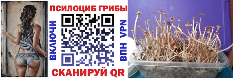 Галлюциногенные грибы мухоморы  закладка  это какой сайт  Чернушка 
